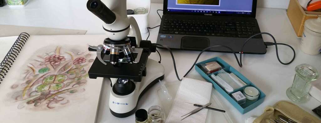 Sketch Book and Microscope for Studying
