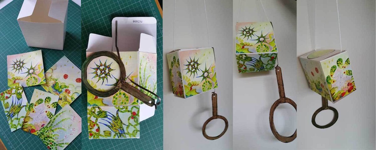 Art algae microscopy painted on each side of a small hanging box