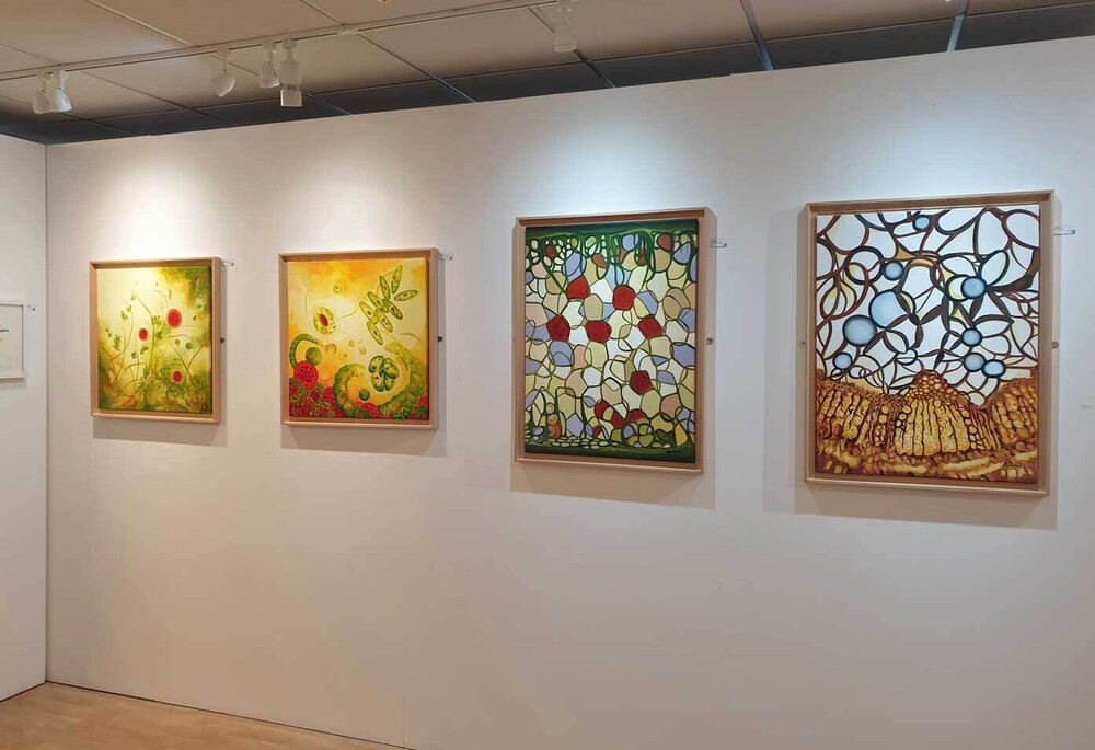 Scientific art paintings from microscope studies at cynon valley museum