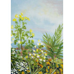 Clouds reflected in lake edged with yellow and white summer flowers