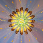 A circular cross section of a catkin resembling a star burst