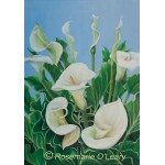 Painting of white Calla Lilies against the dark green background of leaves